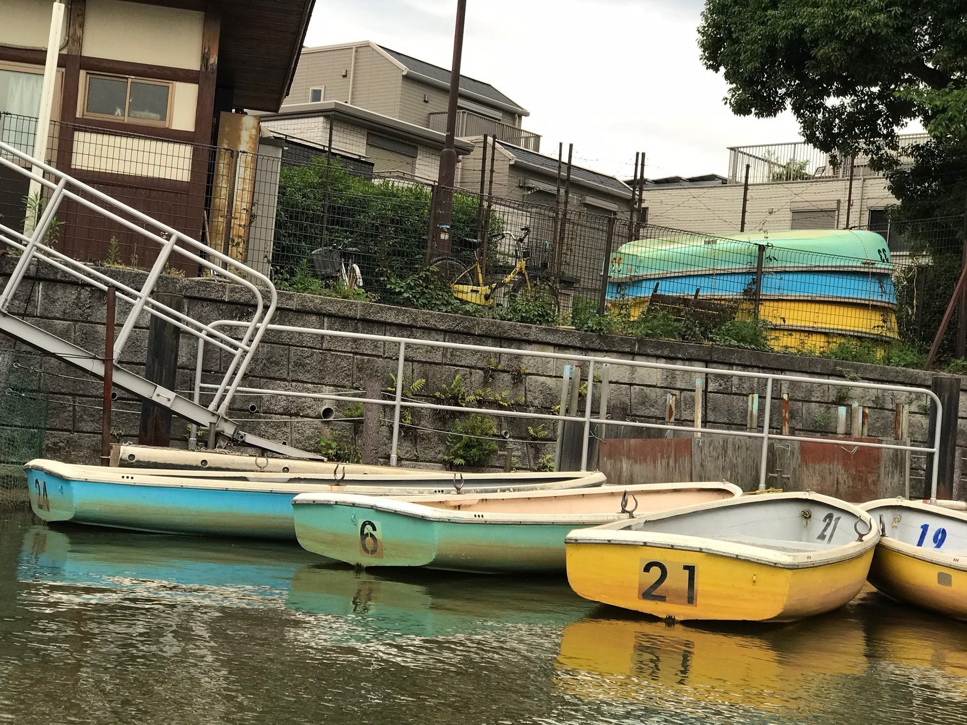 🌳 히몬야 공원(히몬야코엔) 이미지 4